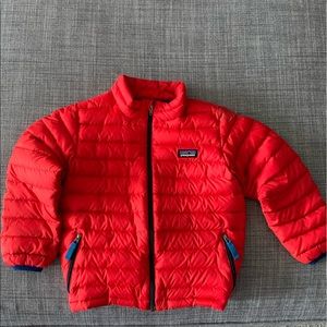 Patagonia Down Sweater 5T